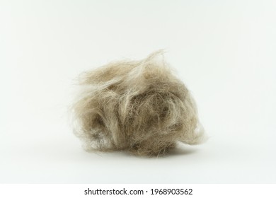 cat hair clump isolated on white, Long hair cat maintenance - Shutterstock ID 1968903562