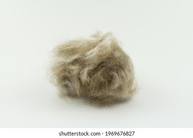 what does a dog hairball look like