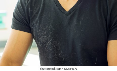 Cat Hair On A Black T-shirt.