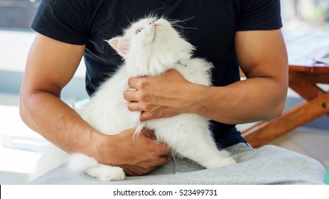 Cat Hair On A Black T-shirt.