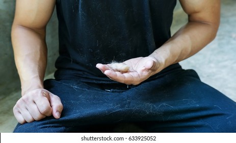 Cat Hair On A Black T-shirt.