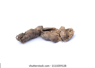 Cat Hairball Shape. Cat Vomit Hairball  On White Background 