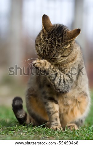 Similar – Foto Bild Liebe zeigen Freude Hand