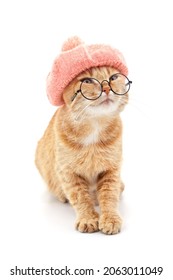 Cat In A Hat And Glasses Isolated On A White Background.