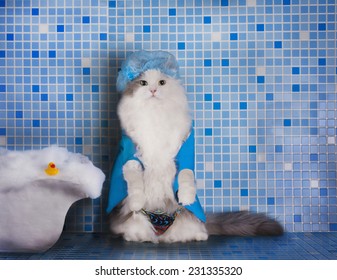 Cat In The Hat For The Hair In The Shower