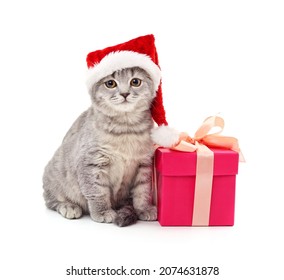 Cat In The Hat Santa With Christmas Gift Isolated On A White Background.