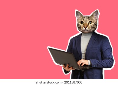 Cat Headed Man Using Laptop. Modern Collage. The Man With The Cat Head Uses A Laptop. The Character Of A Person Is Expressed Through An Animal. A Man With A Cat Head In A Business Suit.