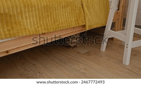 A cat is hiding under a bed inside a home with wooden floors and a yellow blanket, creating a cozy indoor setting.