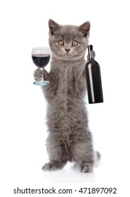Cat holding a bottle of red wine and wineglass. isolated on white background