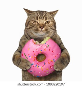 The Cat Holds A Big Pink Bitten Donut. White Background.