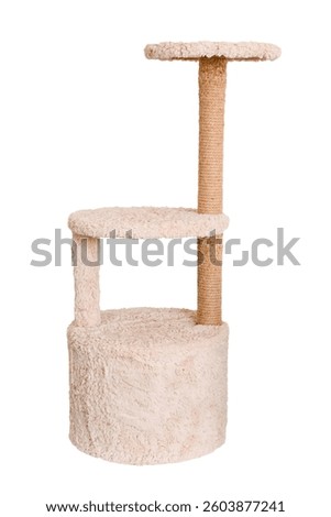 cat house with scratching post isolate on white background.