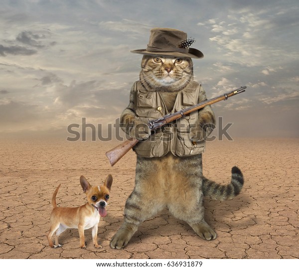 Le Chasseur De Chat Tient Un Photo De Stock Modifiable