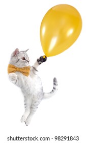 cat kitten silver tabby with a bow tie flying with a golden balloon