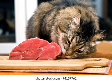 Cat Licking Piece Of Meat