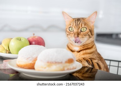 The Cat Licks His Lips While Looking At The Donuts. The Choice Between Unhealthy And Healthy Food.