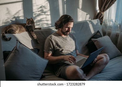 The cat lies on the couch, a man works on a laptop. A young quarantined guy is working at home, with a red cat lying nearby. Remote work, work from home.