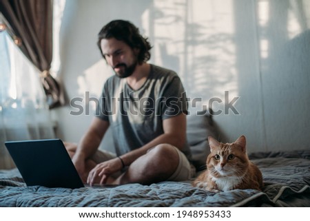 Similar – Image, Stock Photo Relax cat with home