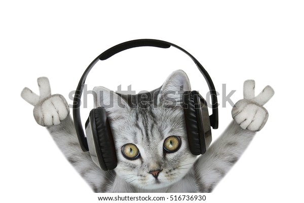 Cat Listening Music Stock Photo Edit Now 516736930