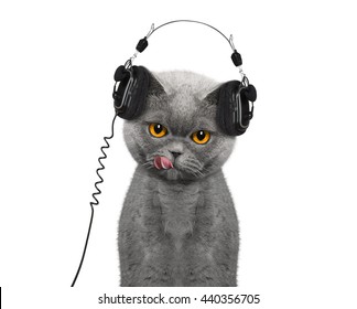 14,434 Cat music Images, Stock Photos & Vectors | Shutterstock