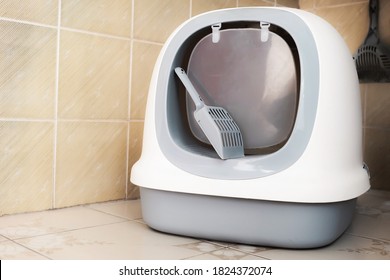 Cat Litter Box With A Scoop In The House. Cat Toilet Dome Design.