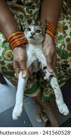 The cat was looking camera