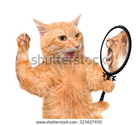 Cat looking into the mirror and seeing a reflection of a lion.