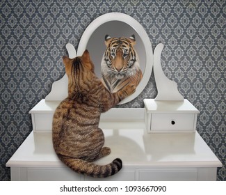 Chat Tigre Images Photos Et Images Vectorielles De Stock Shutterstock