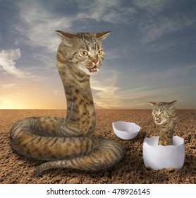 cat snake