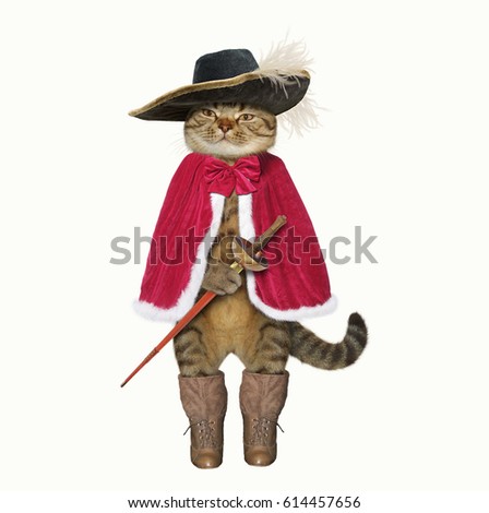 The cat looks like a real musketeer. White background.