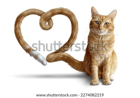 Cat love as a symbol of feline health care and veterinary therapy as a Ginger Cat or a cute tabby with a heart shape for healthy pets.