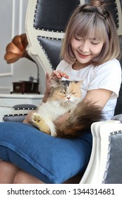 Cat Lover Concept.  Beautiful Asian Woman Sitting On The Couch And Carrying A Cat On His Hand With Love. Cute Girl And Cat.