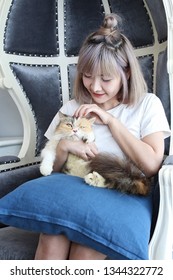 Cat Lover Concept. Beautiful Asian Woman Sitting On The Couch And Carrying A Cat On His Hand With Love. Cute Girl And Cat.