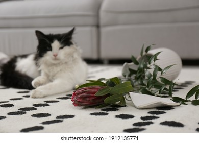 Cat Lying Near Broken Vase In Living Room, Focus On Flower