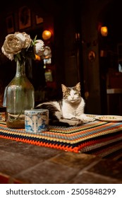 The cat is lying on the table next to a vase of flowers. High quality photo