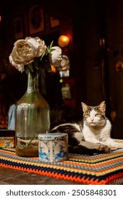 The cat is lying on the table next to a vase of flowers. High quality photo
