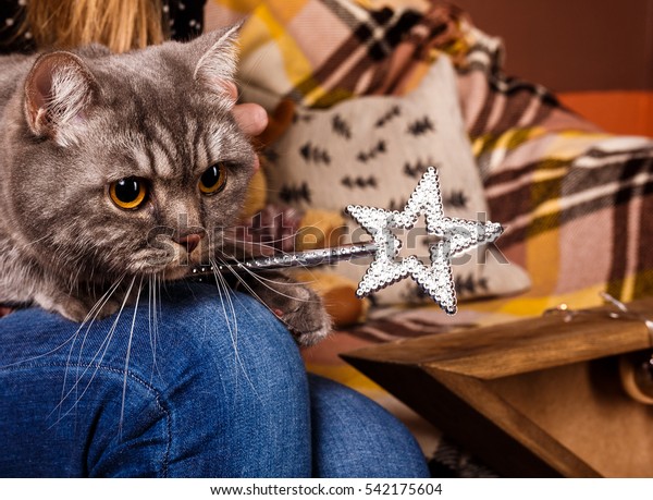 cat with magic wand