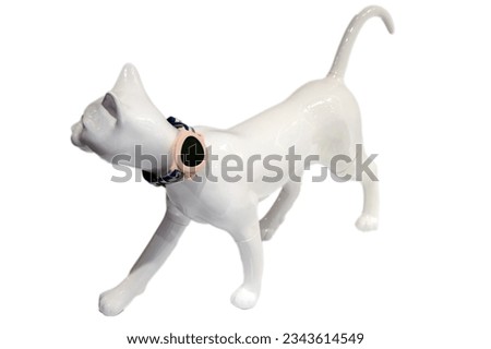 cat mannequin, plastic cat mannequin with a collar, in clothes, on a white background