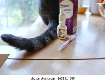 Cat Medicine And Cat Tail On A Table. It Is Indicated For The Treatment Of Osteoarthritis In Dogs And Cats. Meloxicam Is Also Used To Treat Pain Associated With Surgery. Vantaa, Finland -02-19-2020