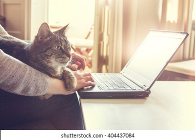 cat and notebook