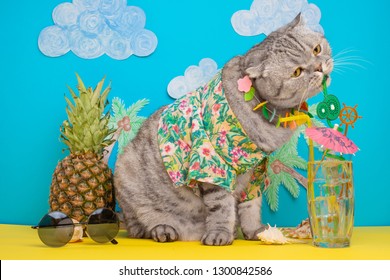 Hawaiian Cat High Res Stock Images Shutterstock