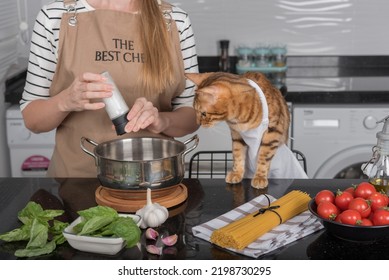 The cat and its owner in aprons cook food together in the home kitchen. Domestic cat watches how the girl salts the food. - Shutterstock ID 2198730295
