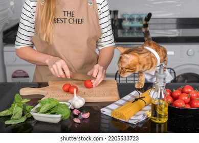 The Cat And Its Owner In Aprons Cook Food Together In The Home Kitchen. The Cat Watches As The Woman Cuts The Tomatoes.