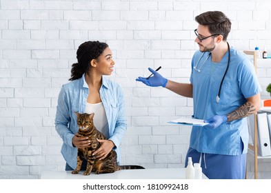 Cat Owner With Her Pet Communicating To Male Veterinarian At Medical Office