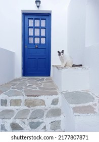 A Cat In A Paros Island Street In Greece 