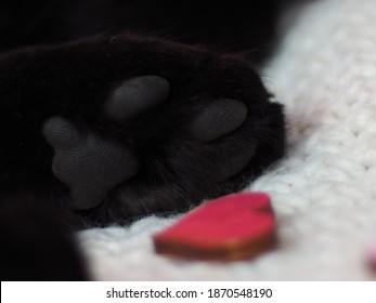 猫 シルエット 足跡 の写真素材 画像 写真 Shutterstock