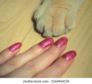 cat paw   pink manicured hand
