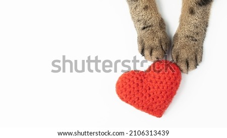 Cat paws and a knitted heart on a white background. Top view, a place to copy. The concept of Valentine's Day.