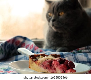 Cat And Pie On The Windowsill