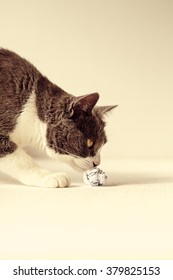 Cat Playing With Ball Of Paper