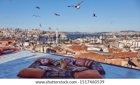 Cat is posing on traditional turkish carpet and pillows with Istanbul panorama background. Taken on terrace near Eminonu region of Istanbul, Turkey